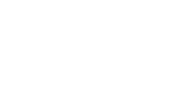 plain white background 